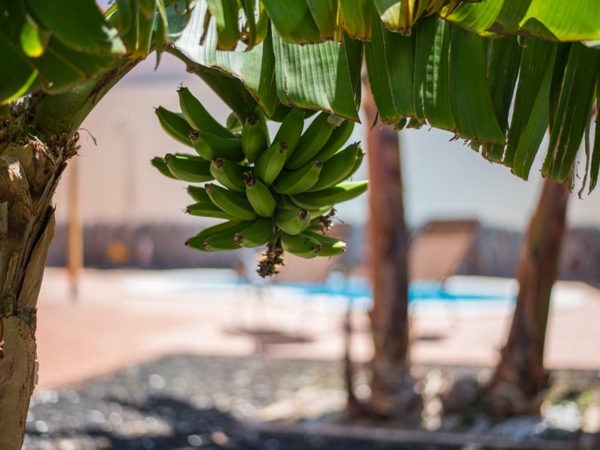 Amazing Villa Viktoria! Pool Big Garden Costa Adeje  Exteriér fotografie